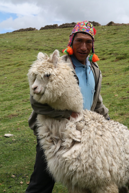 Leandro en zijn alpaca's - Counting Flowers